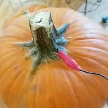 pumpkit-stem-lead